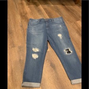 Melissa McCarthy seven jeans slimming Silhouette